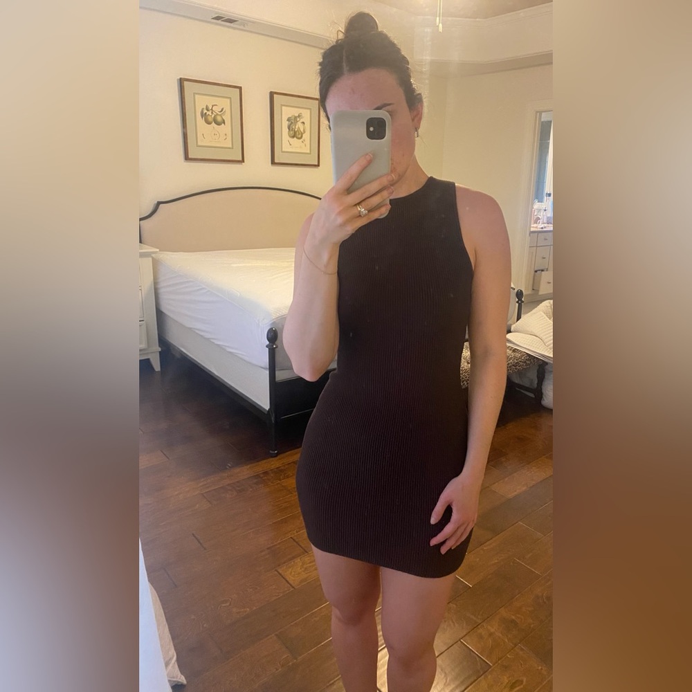 Aritzia Babaton Brown Bodycon Mini Dress